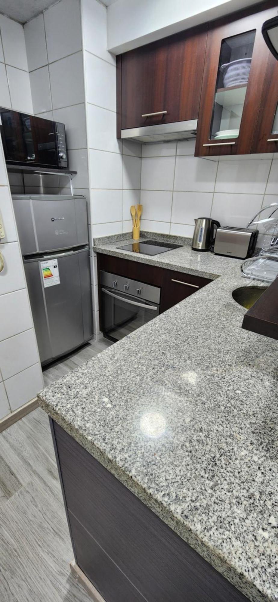 Apartamento Comodo Y Renovado Dpto Santiago